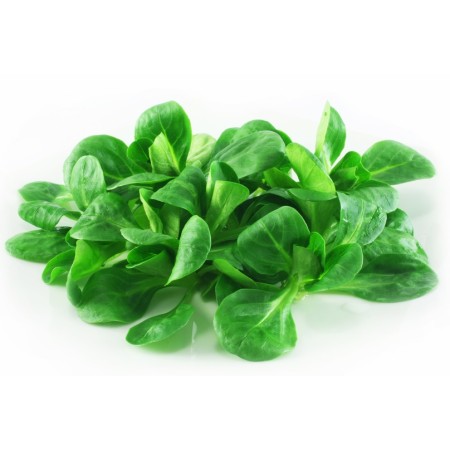 SONGINO BUSTA 100 GR FRESCO